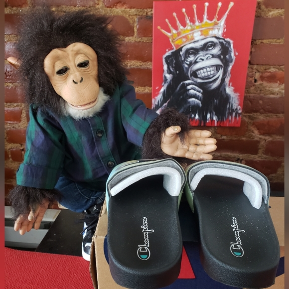 Champion Slides - Picture 3 of 9